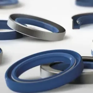Oil Seal